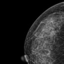 미즈유영상의학과의원 이미지