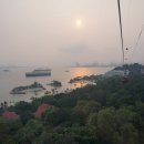 바이더카 이미지