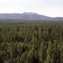 개마고원 이미지