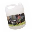 체리쉬퍼피 이미지