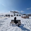 산울림목장 | 가족과 함께 태백겨울여행 태백시장/철암탄광역사촌/구문소/몽토랑산양목장