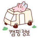 더숲캠핑장 이미지