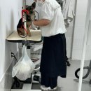 하니 그루밍( Hani Grooming) | [내돈내산]창원 애견미용샵 추천 '데이그루밍'