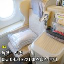 OZ | 미국 뉴욕 항공권 뉴욕에서 인천 아시아나 OZ221 비즈니스 후기