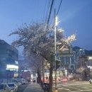 오렌지카이트