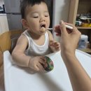 11개월 밥태기 아기 시판 이유식 : 엄마가 맛 보고 추천하는 푸드케어 클레 후기 이유식