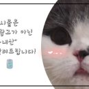 계동푸드 이미지