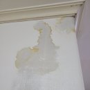 씨유 강화온수중앙점 | 의정부 장암동 온수 배관 누수 동아 아파트 PPC배관 교체