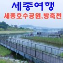 방축천8 어진4교 | 세종시 가볼만한곳 - 세종시 여름피서는 이곳에서 끝!(세종 호수공원,방축천 음악분수)