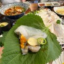 숙성길 | 의정부 횟집 [숙성로바다길] 도다리회 한상 솔직후기 ✨