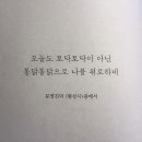 대구반야월막창 이미지