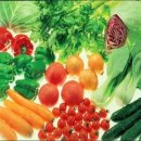 올바른영양 이미지