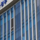 초록세탁 이미지