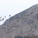 대치목장 이미지