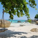 산호세탁 이미지