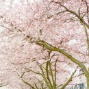 달미공원 이미지