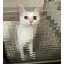 하논 | 광주 첨단 분위기 좋은 카페 내돈내산 추천 후기 ｜ 카페하논 ｜ 데이트 코스 추천하는 예쁜 카페