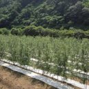 수광농장 이미지