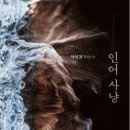 머리사냥 - 속초시 | 마시면 천년을 사는 인어기름? 소설 [인어 사냥]후기