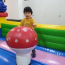 찬솔스포츠 이미지