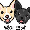 댕댕이밥상 이미지