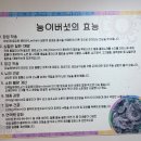 능이찬가 이미지