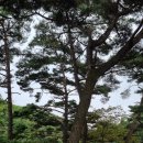 용천스파랜드
