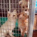 군청 민원과 이미지