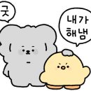 마티나로스팅커피머신 이미지