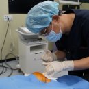 강남와이케이병원 이미지