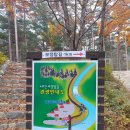 아리바우길(정선코스) 이미지