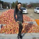 김정자 이미지