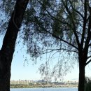 지정환피자장안점 이미지