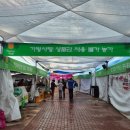 자라섬관광안내소 이미지