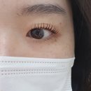 상남 건강한약국 | 창원 상남동 속눈썹펌 여기 추천! 지니뷰티♡ 솔직 후기