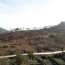 김정태 농장 이미지