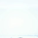 자동차등록사업소 이미지