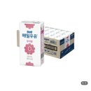 매일우유 - 강서구 | 매일우유