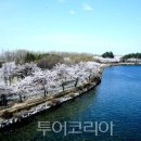 테마투어코리아㈜ 이미지