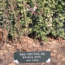 [후기] 이른 봄을 만나고 온 회원소모임 여전사 3월 후기!