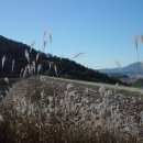 지리산둘레길 2코스 이미지