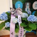 권민정헤어