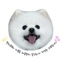 스팀폴리 | 강아지 알러지사료 추천 폴리데이 단일육류 알러지 케어 스팀드라이 사료 후기