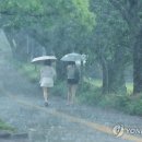200년만에 나올법한 극한 호우/재난이 심각해 지는 현세대 이미지
