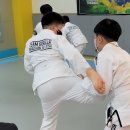 용인대석사특전합기도 이미지