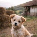 마미맘스산후조리원 | 용인 마미맘스 산후조리원,실제 알아 보면서 느낀 점 정리