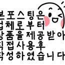 금붕어네일 이미지
