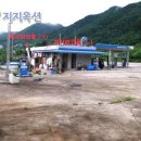 천도리주유소 이미지
