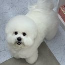 밤앤송