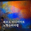 제주특별자치도장애인총연합회 | 제주도 노형슈퍼마켙 제주 패스 할인 입장권 가족여행 실내 미디어아트 후기